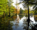 Autumn at the Lake by Ramad, photography->landscape gallery