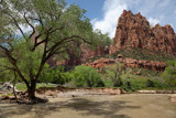 Zion River by Paul_Gerritsen, photography->landscape gallery