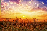 Early Evening by Starglow, photography->landscape gallery