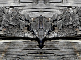 Wood 2 by rvdb, photography->manipulation gallery