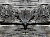 Wood 2 by rvdb, photography->manipulation gallery