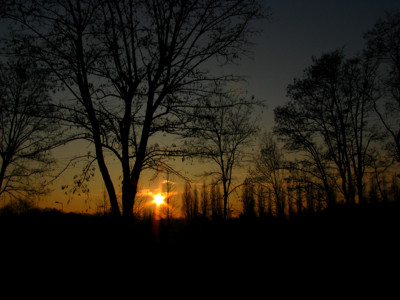 Click here to view at full resolution.