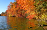 Mid October by Tomeast, photography->nature gallery