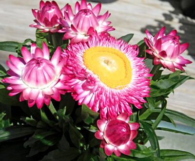 Click here to view at full resolution.