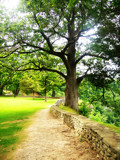 Tree on cliffside #2 by Kateplus4, Photography->Landscape gallery