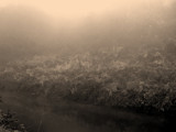 Mono Mist by Novice, Photography->General gallery