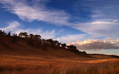 Click here to view at full resolution.