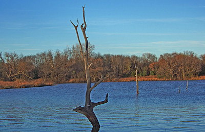 Click here to view at full resolution.