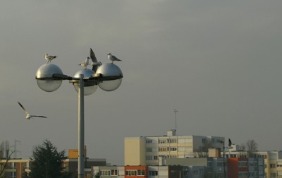 Click here to view at full resolution.