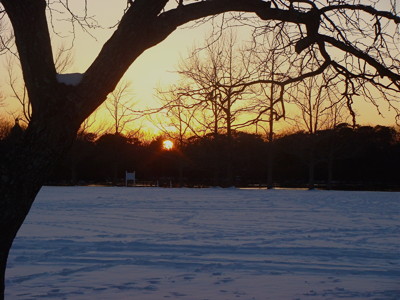 Click here to view at full resolution.