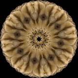 mink fur by sunny184, computer gallery