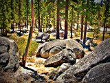 Rocks and Trees by Flmngseabass, photography->landscape gallery