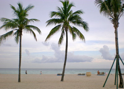 Click here to view at full resolution.