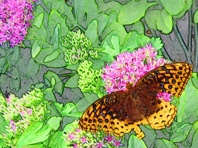 Click here to view at full resolution.