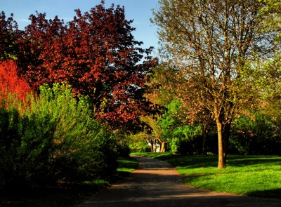 Click here to view at full resolution.