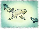 The Sharks by bfrank, illustrations gallery