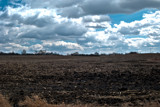 Field V by MeatMiracle, photography->landscape gallery