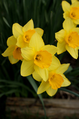 Click here to view at full resolution.