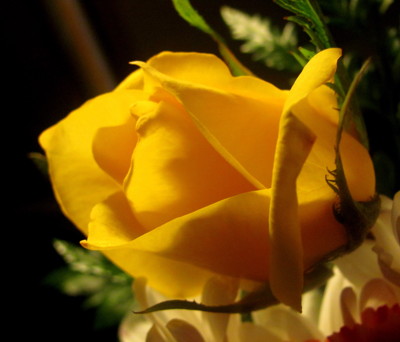 Click here to view at full resolution.