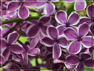 Click here to view at full resolution.