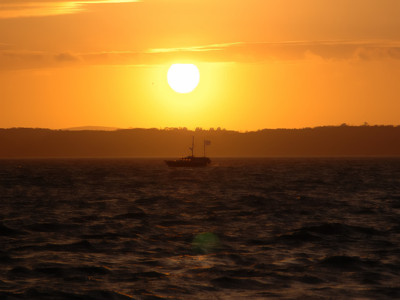 Click here to view at full resolution.