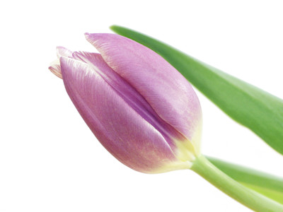 Click here to view at full resolution.