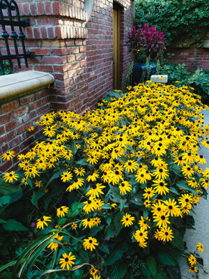 Click here to view at full resolution.