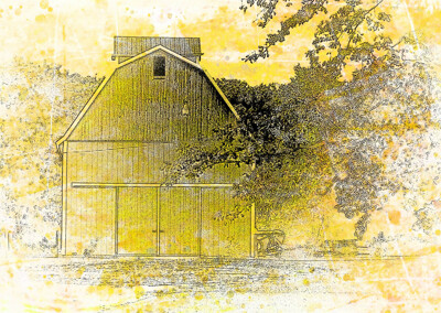 Click here to view at full resolution.