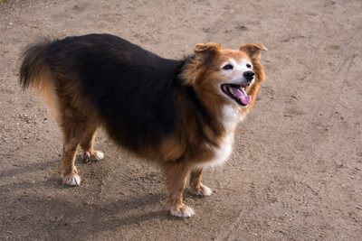 Click here to view at full resolution.