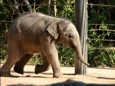 Click here to view at full resolution.