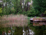 Nature's Beauty by gerryp, Photography->Shorelines gallery