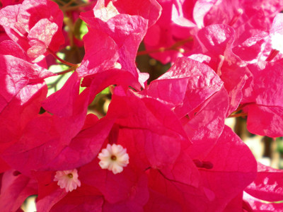 Click here to view at full resolution.
