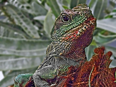 Click here to view at full resolution.