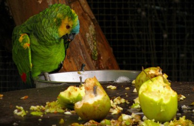 Click here to view at full resolution.