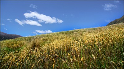 Click here to view at full resolution.