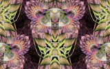 Garden Flowers by Flmngseabass, abstract gallery