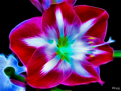 Click here to view at full resolution.