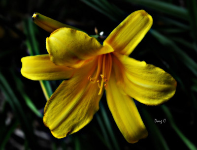 Click here to view at full resolution.