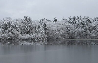 Click here to view at full resolution.