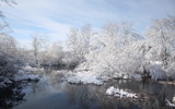 Snow in Meadow by Tomeast, photography->nature gallery