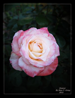 Click here to view at full resolution.