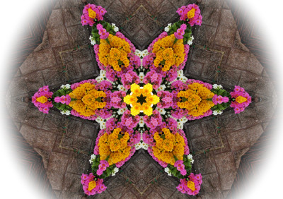 Click here to view at full resolution.