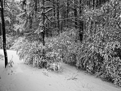 Click here to view at full resolution.