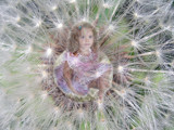 Princess in a Dandelion Cage by aiced, Photography->Manipulation gallery