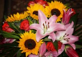 Bright &amp; Beautiful by LynEve, photography->flowers gallery