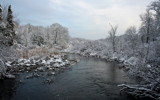 Reed Marshes by Tomeast, Photography->Landscape gallery