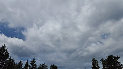 Click here to view at full resolution.