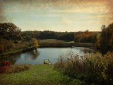 Coming on Fall! by Starglow, photography->water gallery