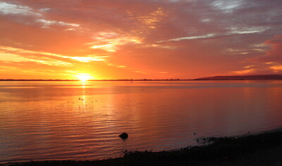 Click here to view at full resolution.