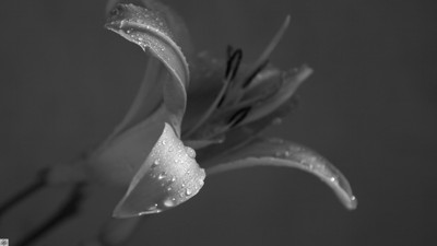 Click here to view at full resolution.